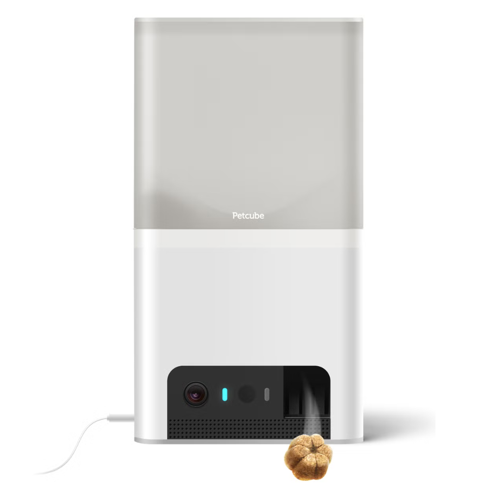 [レンタル] Modernity Petcube Bites 2 Lite BL10US 室内用ペット見守りカメラ
