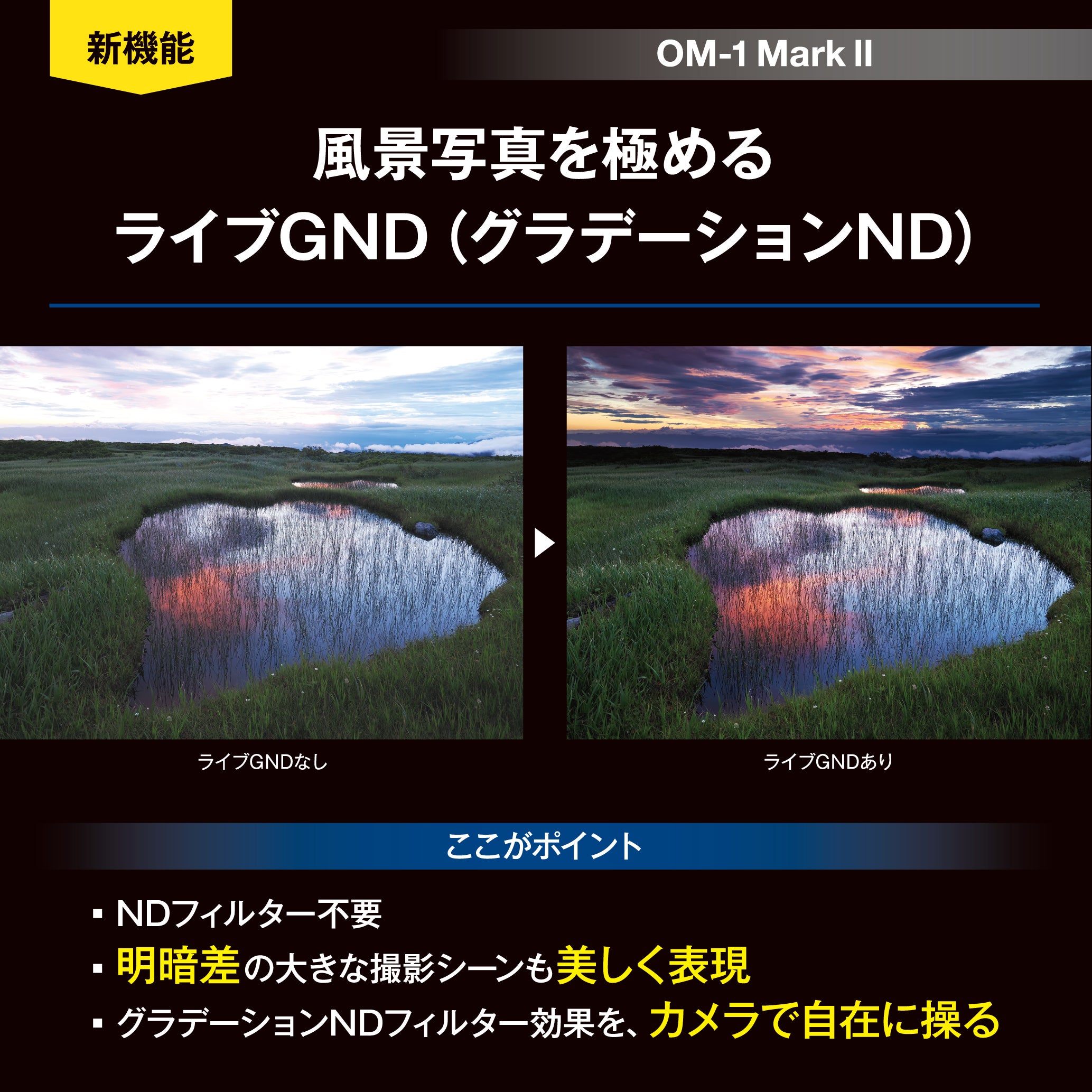 [レンタル] OM SYSTEM OM-1 Mark II ボディ ミラーレス一眼 - 4