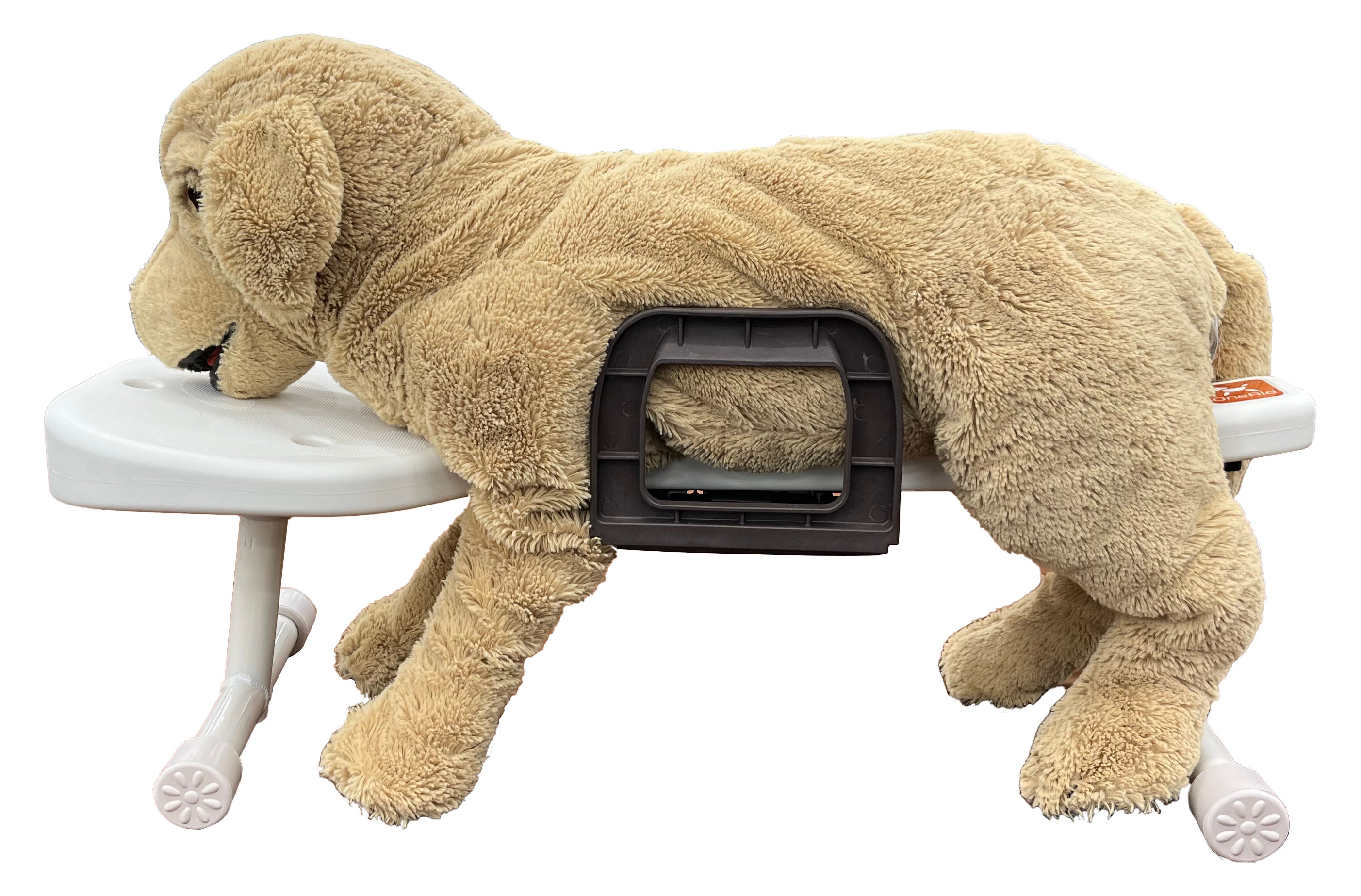 [レンタル] ワンエイド リラたっち ホームタイプ パイプセット(ロー/ミドル/ハイ) - 10